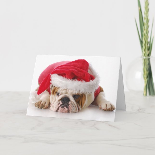 Cartes Pour Fêtes Annuelles Santa Dog (Devant)