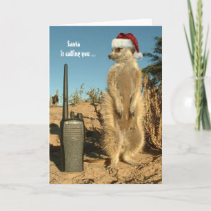 Cartes Pour Fêtes Annuelles Santa is calling you - Seasons greetings 3