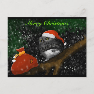 Cartes Pour Fêtes Annuelles Santa Owl Christmas Card