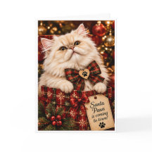 Santa Paws arrive en ville Cadeau personnalisé pou