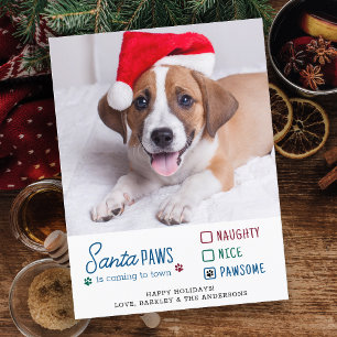 Cartes Pour Fêtes Annuelles Santa Paws Méchant Jolies Pattes Incroyable Photo