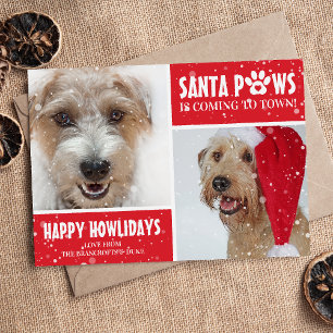 Cartes Pour Fêtes Annuelles Santa Paws Photo de chien Joyeux Howlidays Noël