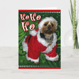 Cartes Pour Fêtes Annuelles Santa Yorkie Greeting Card