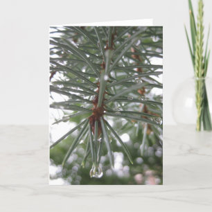 Cartes Pour Fêtes Annuelles Sapin avec des gouttelettes d'eau