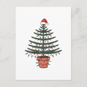 Cartes Pour Fêtes Annuelles Sapin de Noël de l'île Norfolk en pot Araucaria