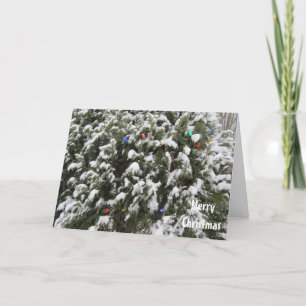 Cartes Pour Fêtes Annuelles Sapin de Noël Laissez Tomber la Neige