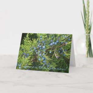 Cartes Pour Fêtes Annuelles Savor la saison