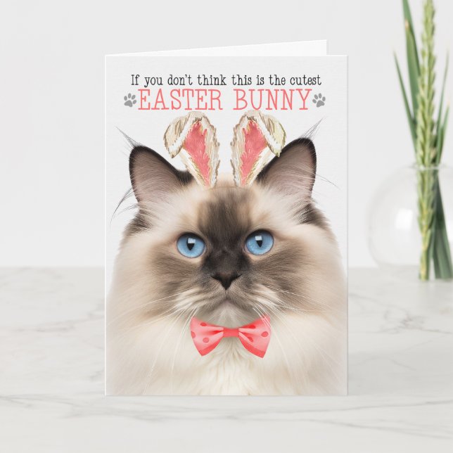 Cartes Pour Fêtes Annuelles Sceau Point Ragdoll Cutest Pâques Bunny Kitty Puns (Devant)
