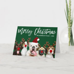 Cartes Pour Fêtes Annuelles Scénario de brosse Étoile de Noël Chiens de Noël V
