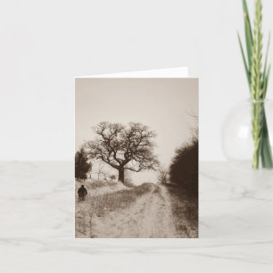 Cartes Pour Fêtes Annuelles scène de neige de la voie de campagne atmosphériqu