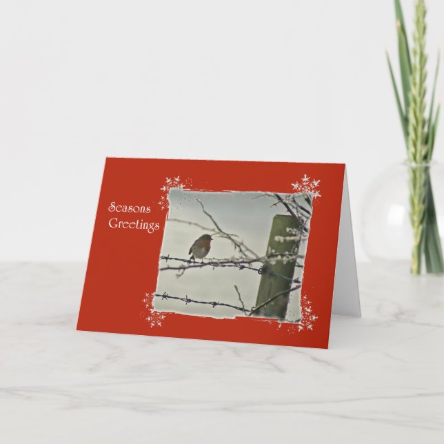 Cartes Pour Fêtes Annuelles Scène d'hiver de Robin (Devant)