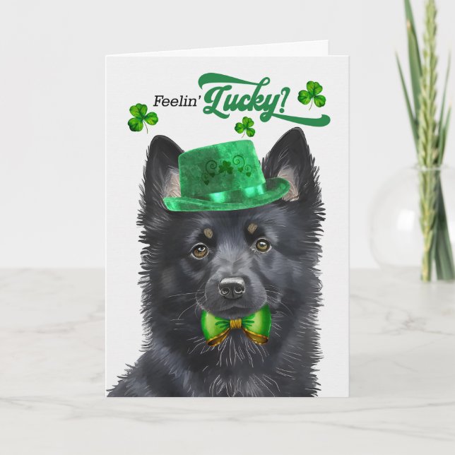 Cartes Pour Fêtes Annuelles Schipperke Chien Feelin' Lucky St Patrick's Day (Devant)