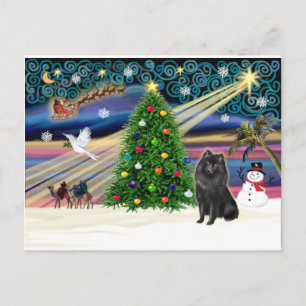 Cartes Pour Fêtes Annuelles Schipperke magique de Xmas