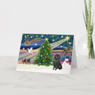 Cartes Pour Fêtes Annuelles Schipperke magique de Xmas