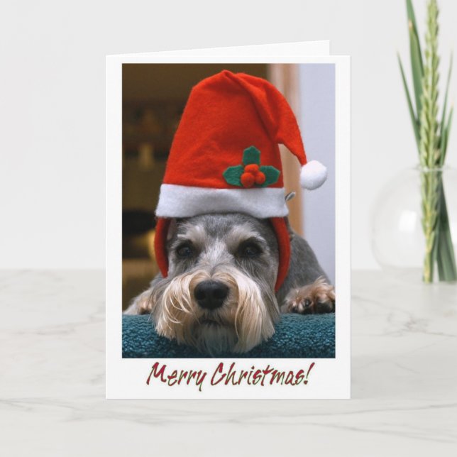 Cartes Pour Fêtes Annuelles Schnauzer de Joyeux Noël (Devant)