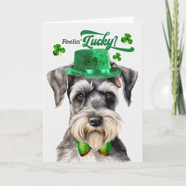 Cartes Pour Fêtes Annuelles Schnauzer Dog Feelin' Lucky St Patrick's Day (Devant)