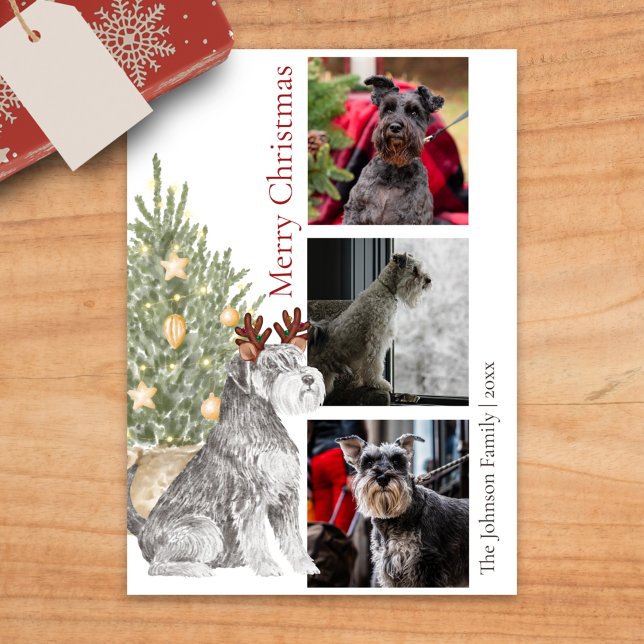Cartes Pour Fêtes Annuelles Schnauzer et sapin de Noël Photo chien animal de c (Créateur téléchargé)