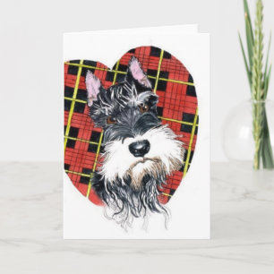 Cartes Pour Fêtes Annuelles Schnauzer Valentine