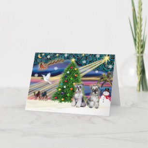 Cartes Pour Fêtes Annuelles Schnauzers Magie de Noël (deux)
