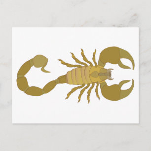 Cartes Pour Fêtes Annuelles Scorpion
