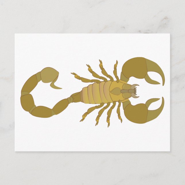 Cartes Pour Fêtes Annuelles Scorpion (Devant)