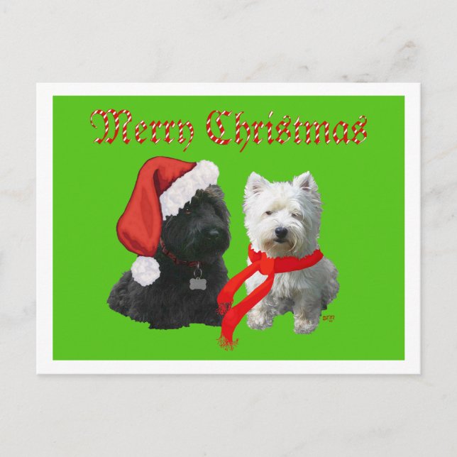 Cartes Pour Fêtes Annuelles Scottie et Westie Joyeux Noël (Devant)
