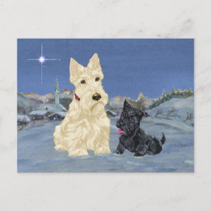 Cartes Pour Fêtes Annuelles Scottie roux et Noël de chiot