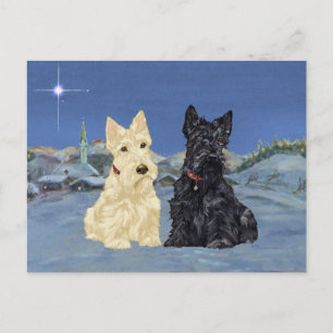 Cartes Pour Fêtes Annuelles Scotties Noirs Blé Noël