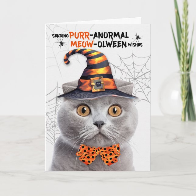 Cartes Pour Fêtes Annuelles Scottish Fold Grey Cat PURRanormal MEOWolween (Devant)