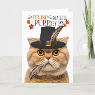 Cartes Pour Fêtes Annuelles Scottish Fold Orange Cat Grateful pour PURRkey Day