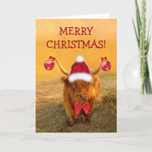 Cartes Pour Fêtes Annuelles Scottish Highland Steer Christmas Fun