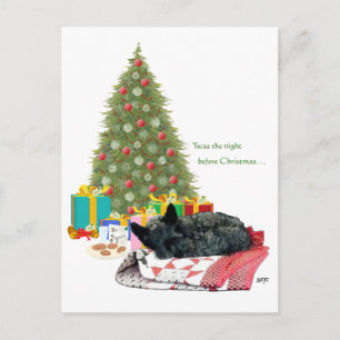 Cartes Pour Fêtes Annuelles Scottish Terrier Christmas Nap