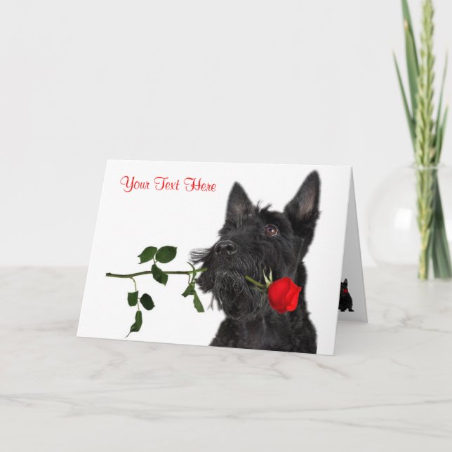 Cartes Pour Fêtes Annuelles Scottish Terrier Puppy Red Rose Valentine Design (Devant)