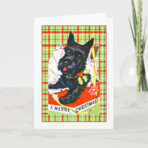 Cartes Pour Fêtes Annuelles Scotty Dog Merry Christmas Card