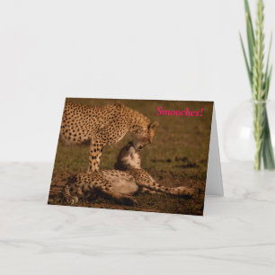 Cartes Pour Fêtes Annuelles Se bécote - le guépard Valentine