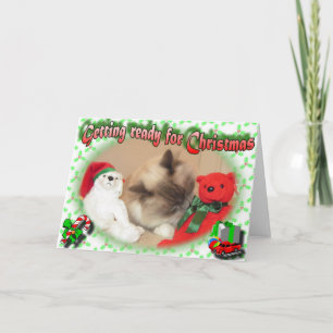 Cartes Pour Fêtes Annuelles Se préparer pour Noël !