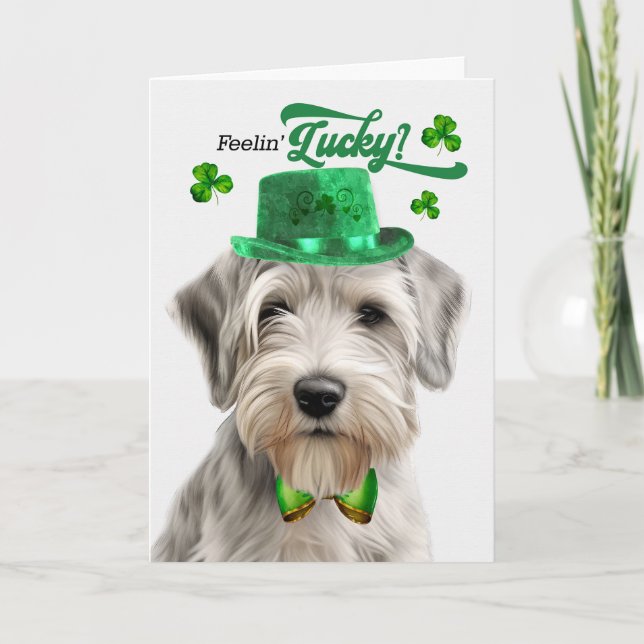 Cartes Pour Fêtes Annuelles Sealyham Terrier Feelin' Lucky St Patrick's Day (Devant)