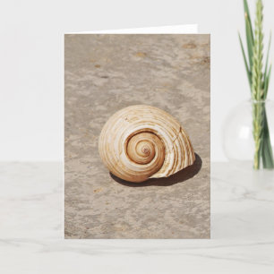 Cartes Pour Fêtes Annuelles SeaShell