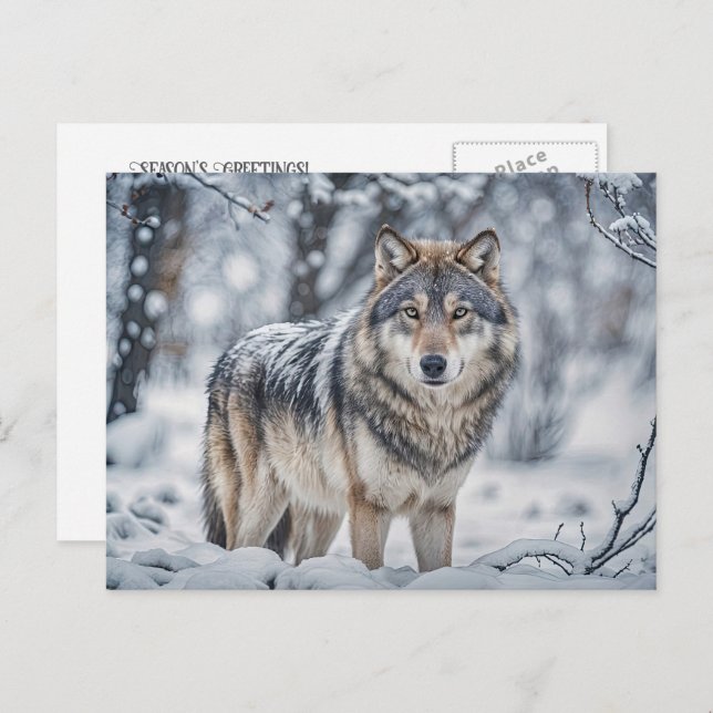Cartes Pour Fêtes Annuelles Seasons Greeting Christmas Wolf in Snow (Devant / Derrière)