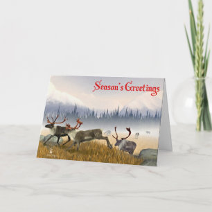 Cartes Pour Fêtes Annuelles Season's Greetings