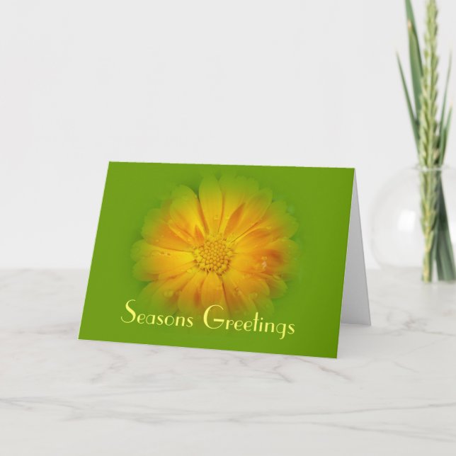 Cartes Pour Fêtes Annuelles Seasons greetings  greeting card (Devant)