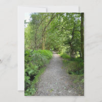 Sentier à travers les bois sur l'île de Bute en Éc