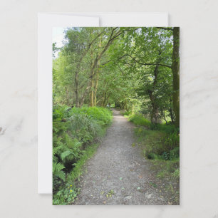 Cartes Pour Fêtes Annuelles Sentier à travers les bois sur l'île de Bute en Éc