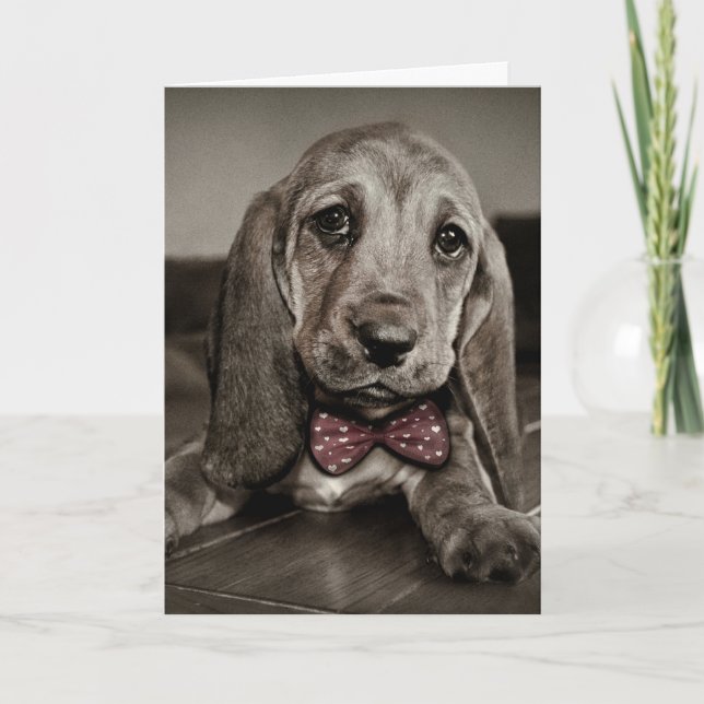 Cartes Pour Fêtes Annuelles Sepia Basset Hound Heureuse Sainte-Valentin chiot (Devant)