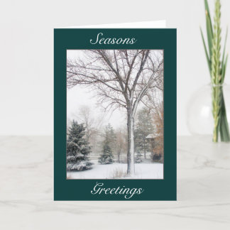 Cartes Pour Fêtes Annuelles Sérénité dans la tempête de neige