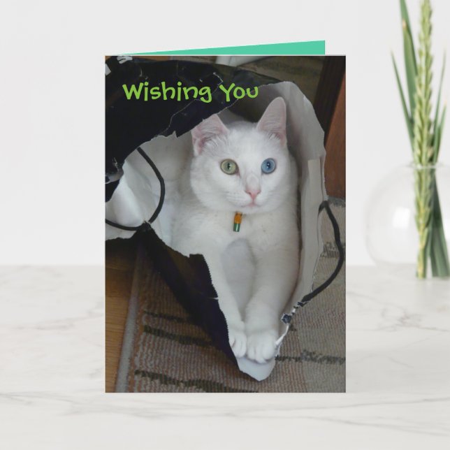 Cartes Pour Fêtes Annuelles Serenity bagged holiday card (Devant)