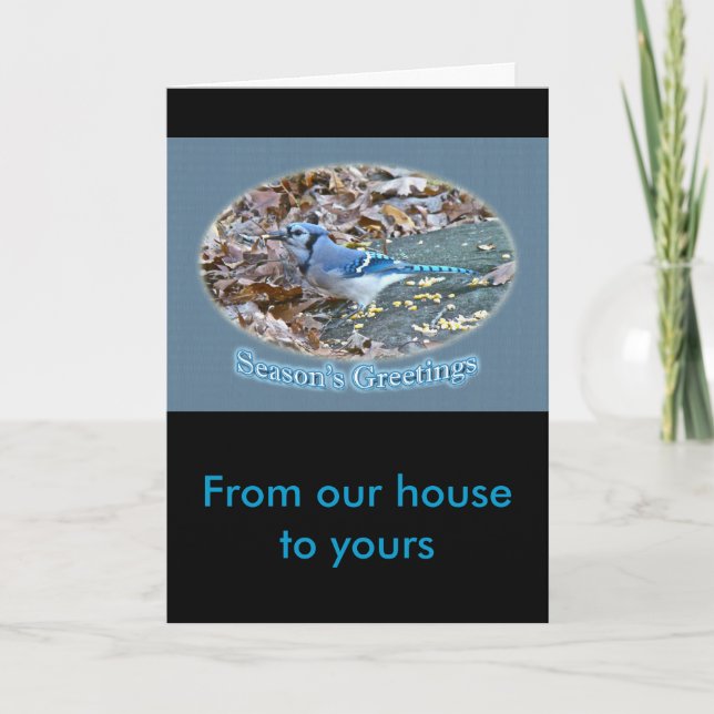 Cartes Pour Fêtes Annuelles Série de vœux de la saison du Geai bleu (Devant)