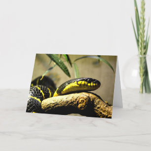 Cartes Pour Fêtes Annuelles Serpent noir et jaune