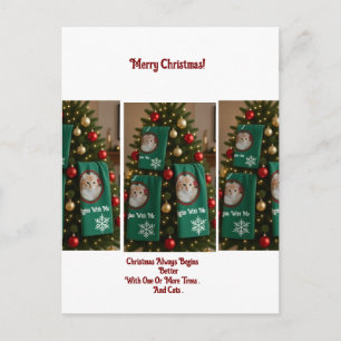 Cartes Pour Fêtes Annuelles Serviettes de chats dans l'arbre de Noël, photo, h
