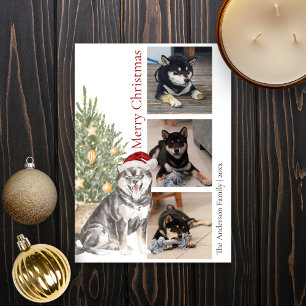 Cartes Pour Fêtes Annuelles Sesame Shiba Inu Christmas Tree Animaux de compagn